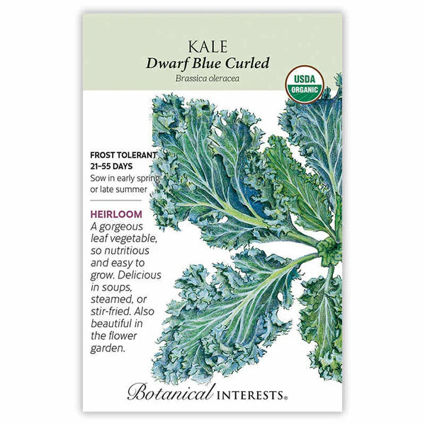 Kale seeds, "Dwarf Blue Curled"