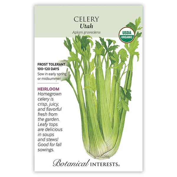 Celery seeds, "Utah"