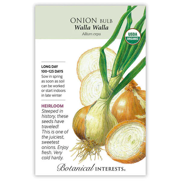 Onion Bulb seeds, "Yellow WallaWalla"