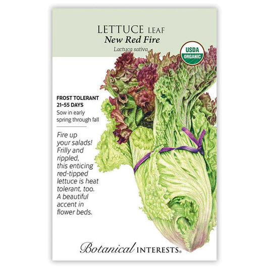 Lettuce Leaf seeds, "New Red Fire"