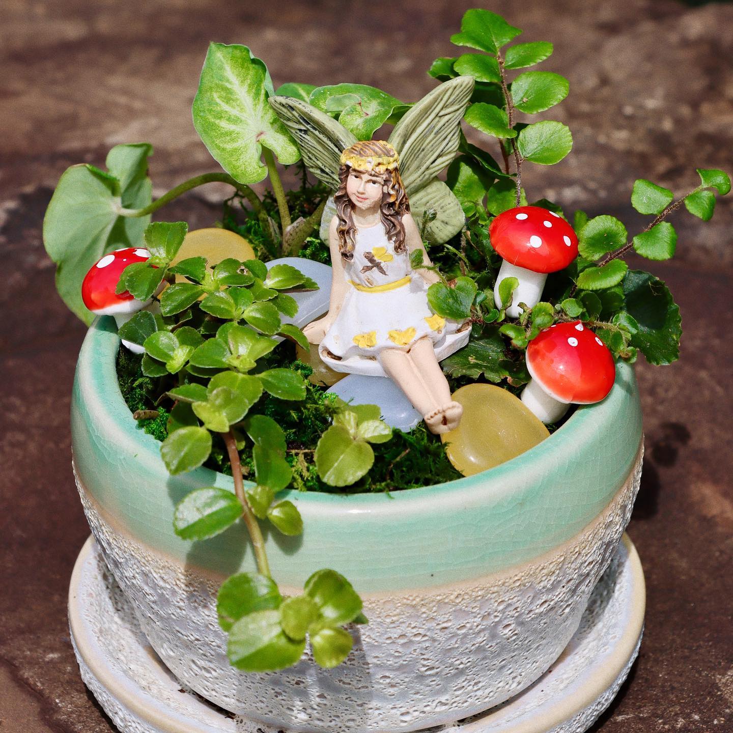 Mini Fairy Garden Workshop