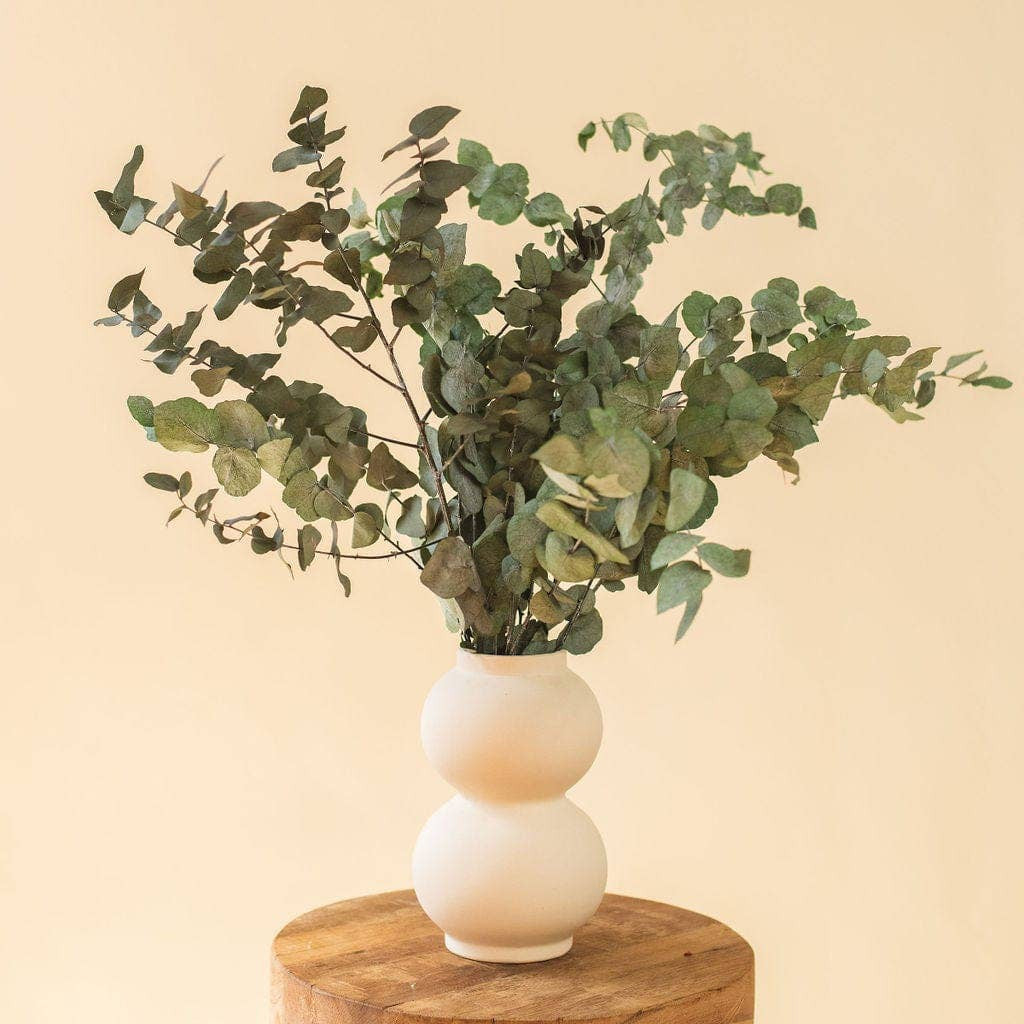 Preserved Green Eucalyptus