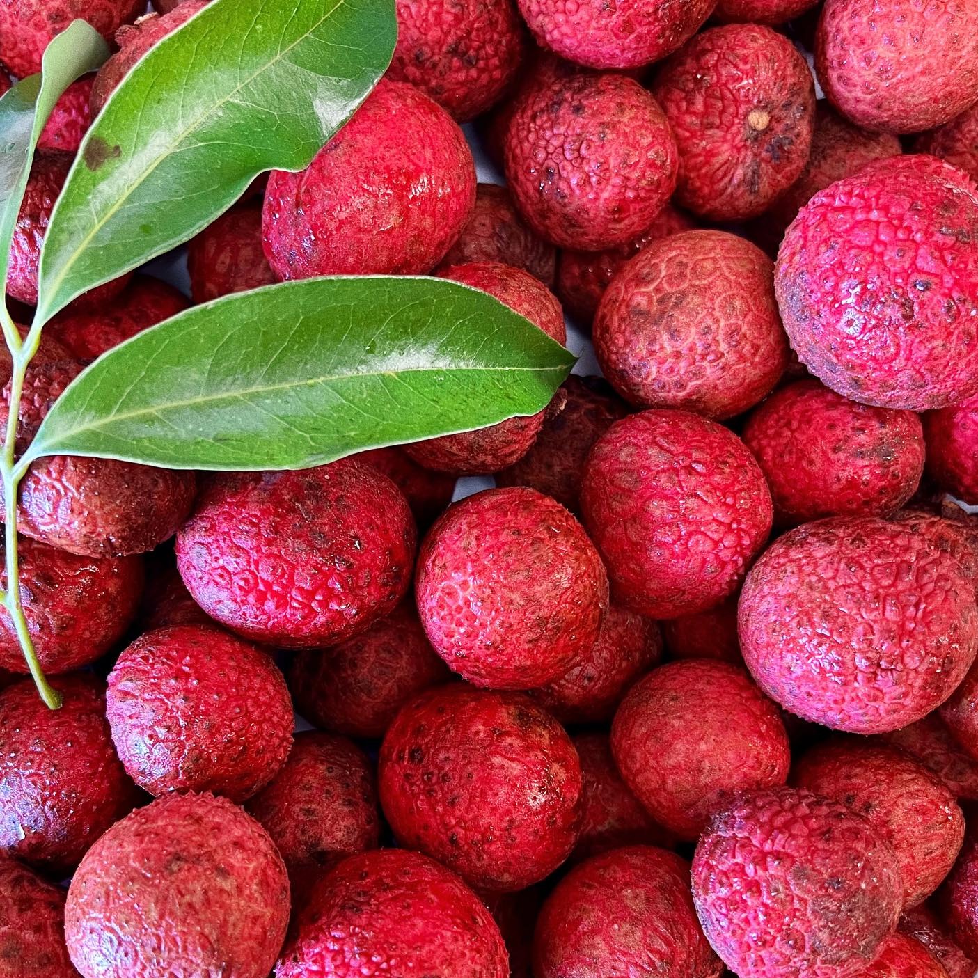 Lychee 1.5 lb