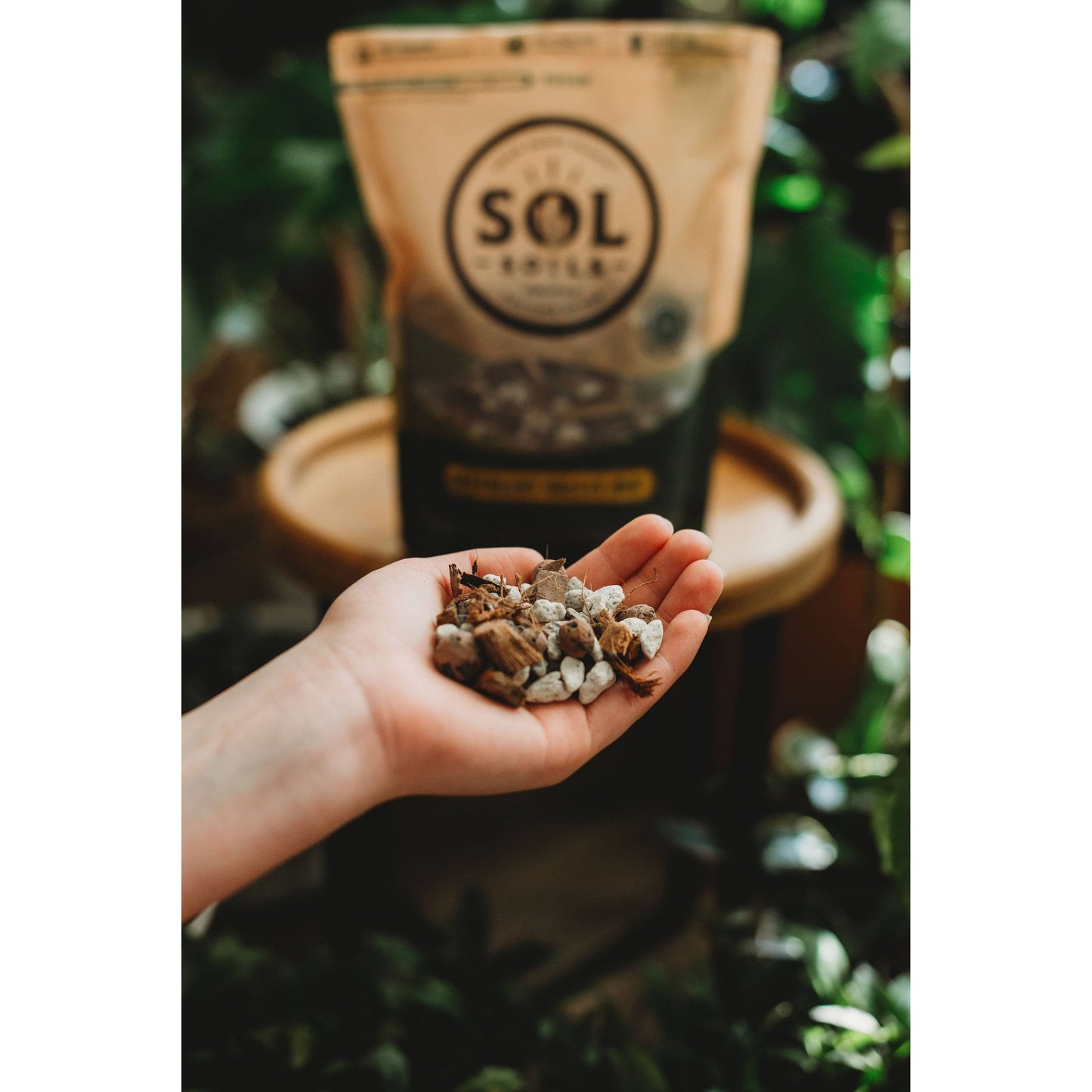 Soil (1Qt) Succulent Gritty Mix (Soilless)
