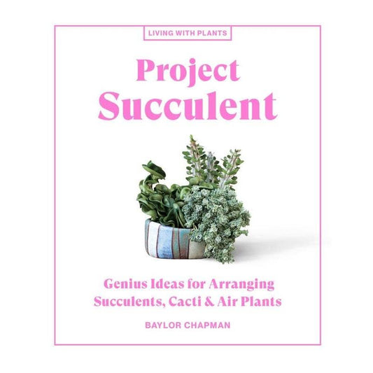 Project Succulent: Genius Ideas for Arranging Succulents