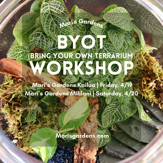 4/19 & 4/20 BYOT (Bring your own Terrarium) Workshop