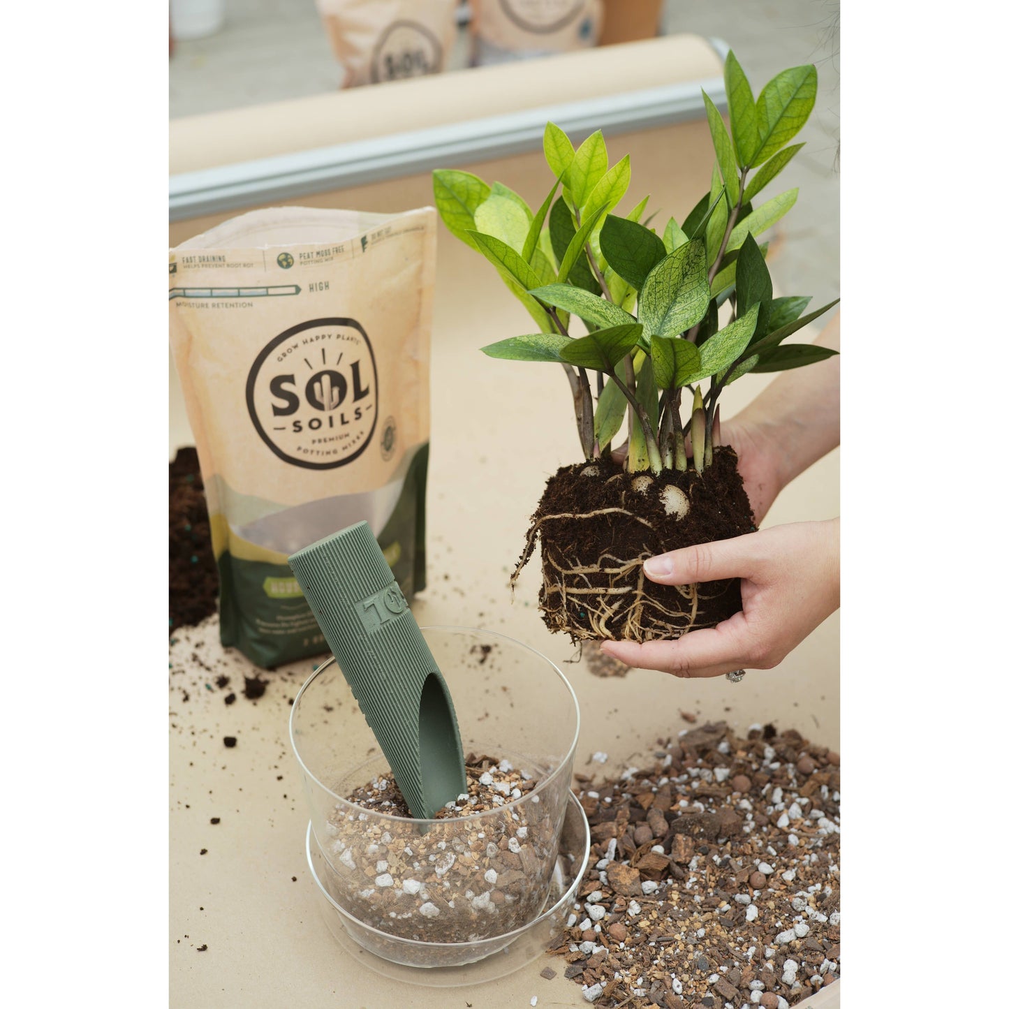 Soil (1Qt) Houseplant Chunky Mix (Aroid/Tropical Soilless)