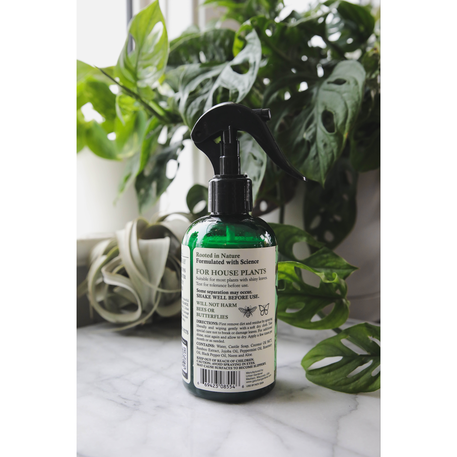 house plant leaf shine Leaf Radiance