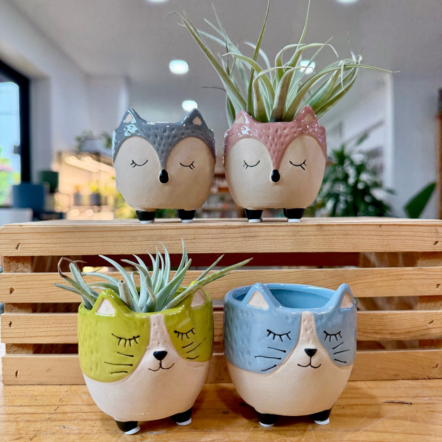 3" Animal Planters