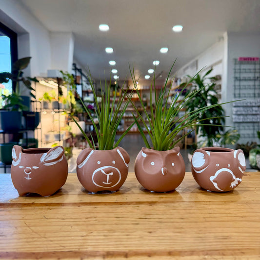 3" Animal Terracotta Planter