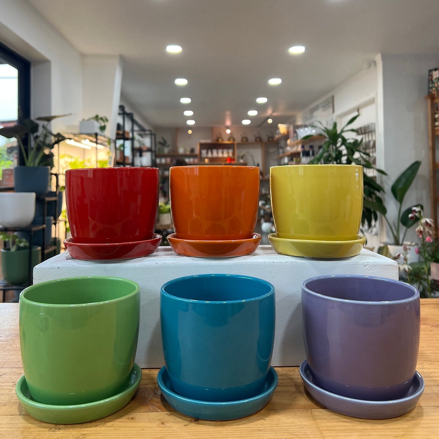 Torres Planter