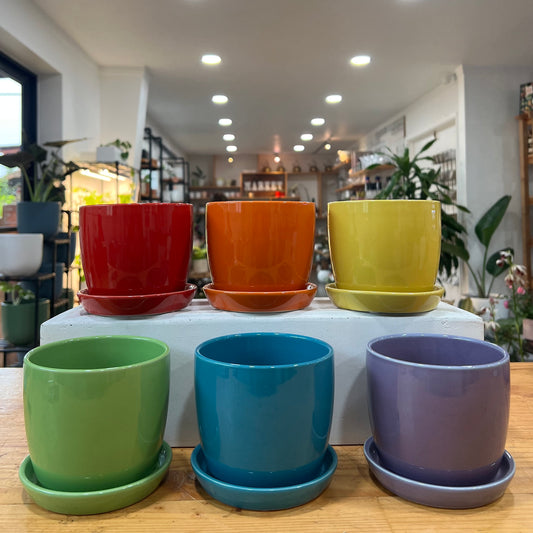 Torres Planter
