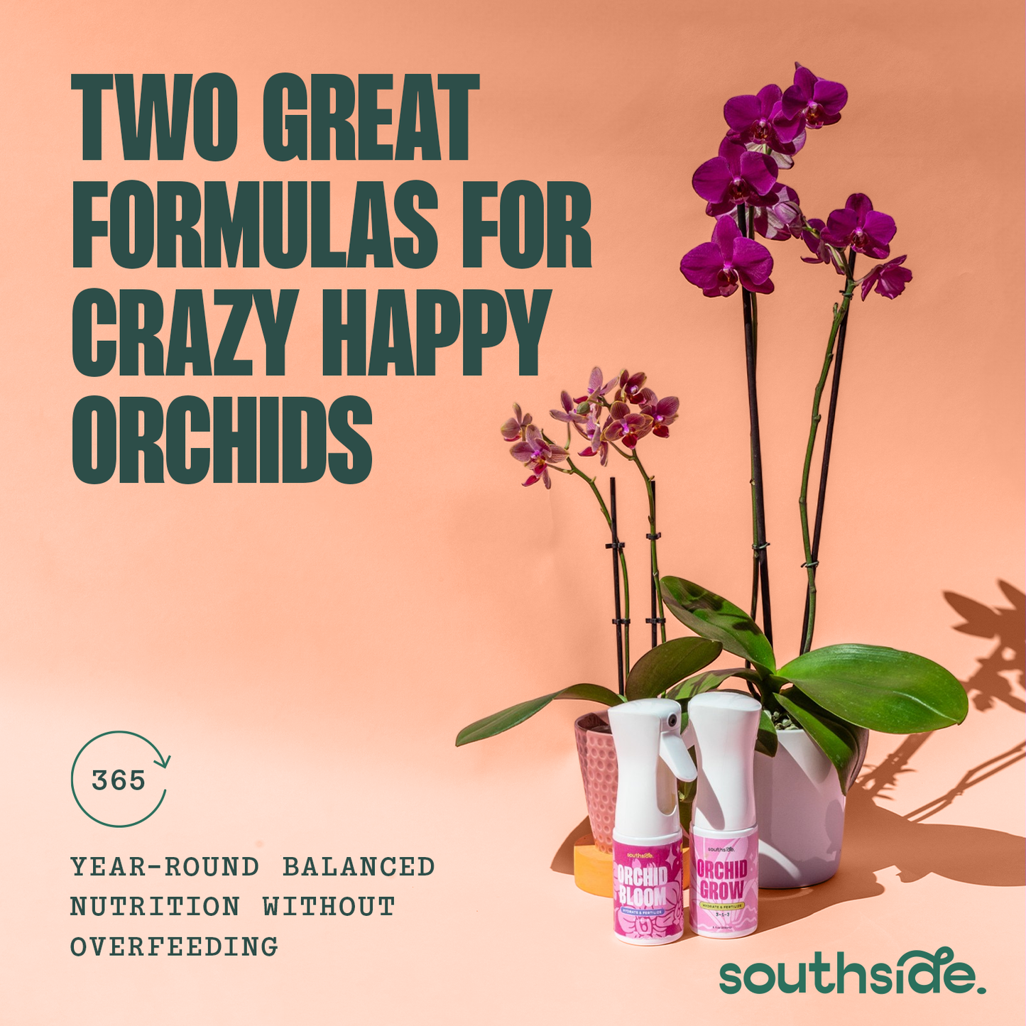 Orchid Grow and Bloom Sprays