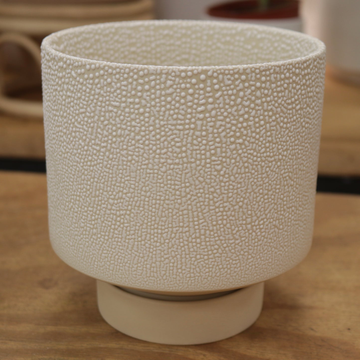 Ceramic Planter with Saucer