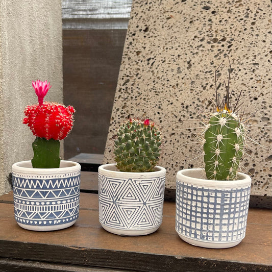 2" Terracotta Planter