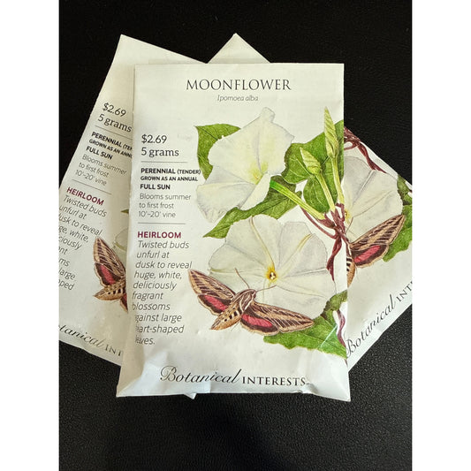 Moonflower seeds, "White"