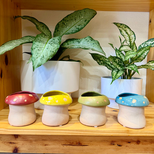 4" Mushroom Planters