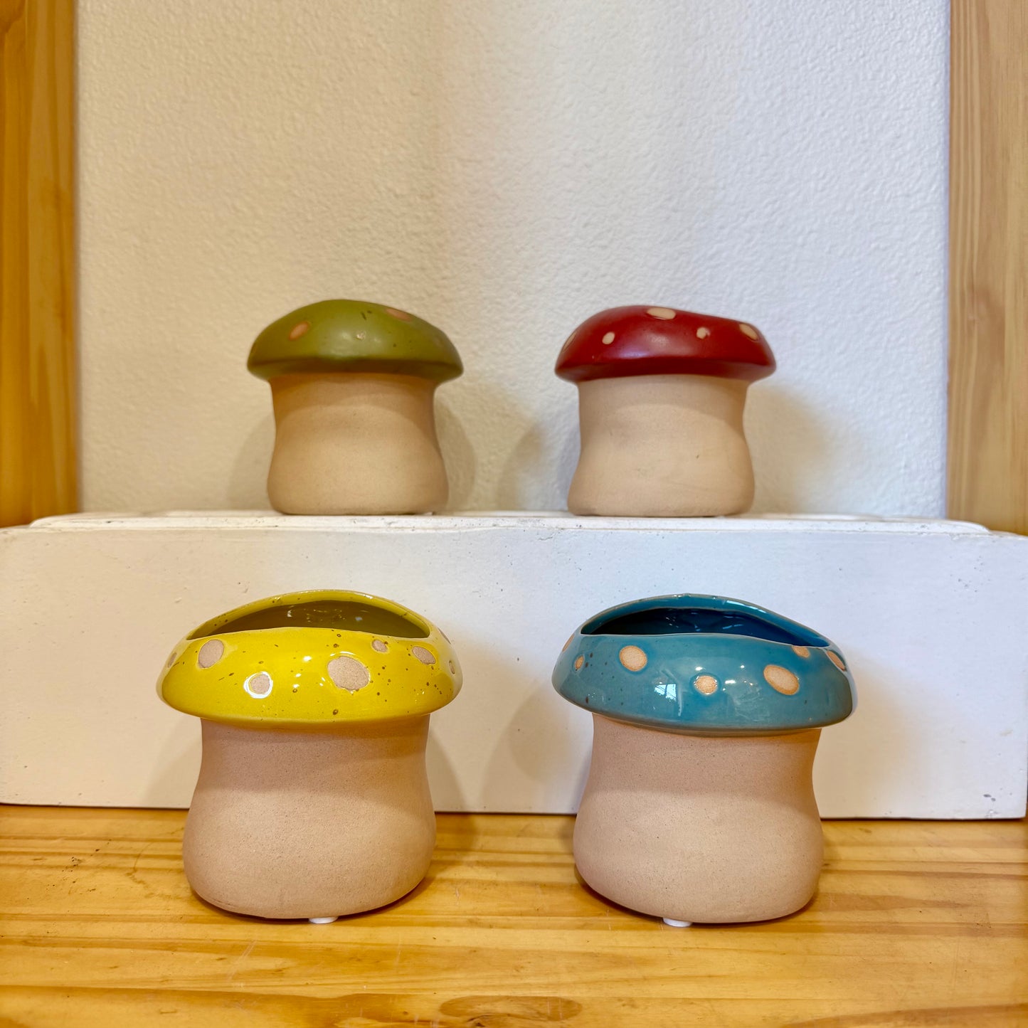 4" Mushroom Planters