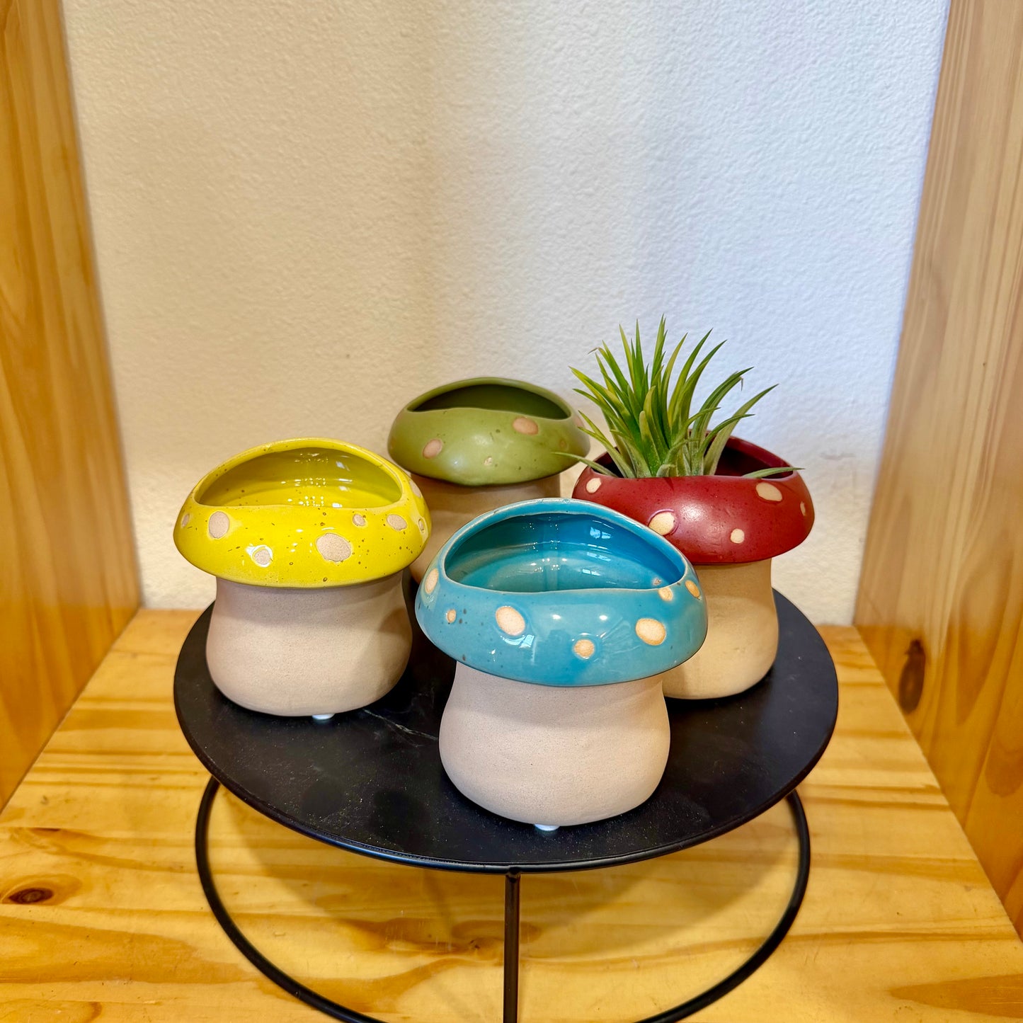 4" Mushroom Planters