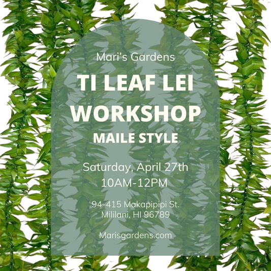 4/27 Maile Style Ti Leaf Lei Workshop (Mililani)