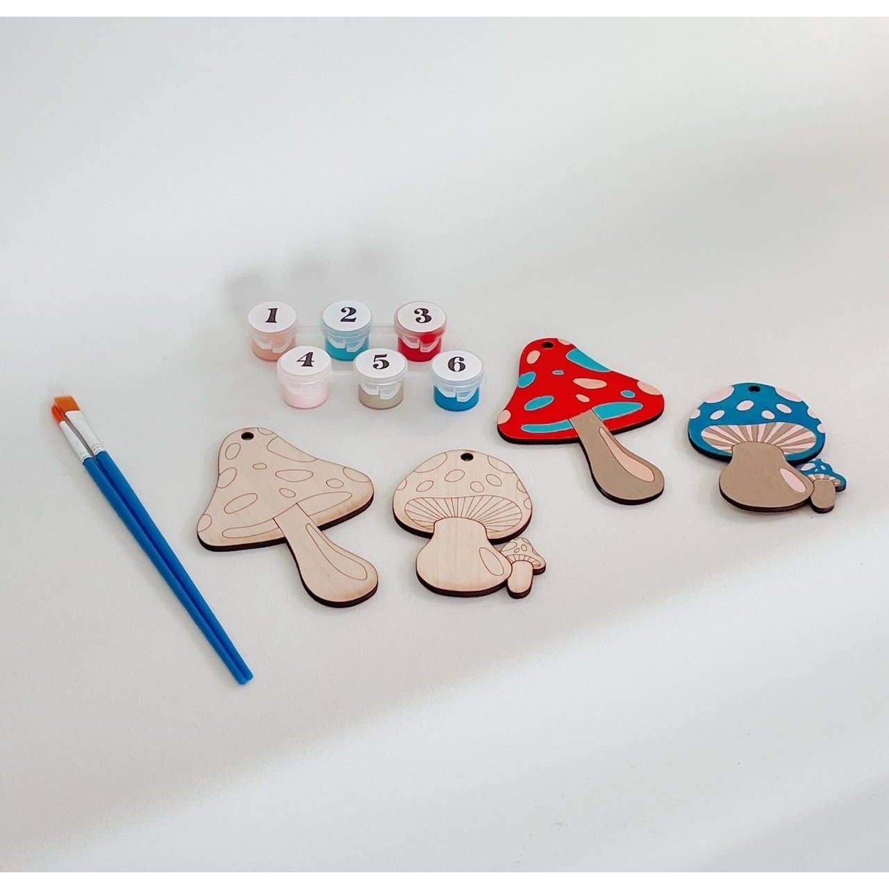 Paint by Number DIY Craft Kit
