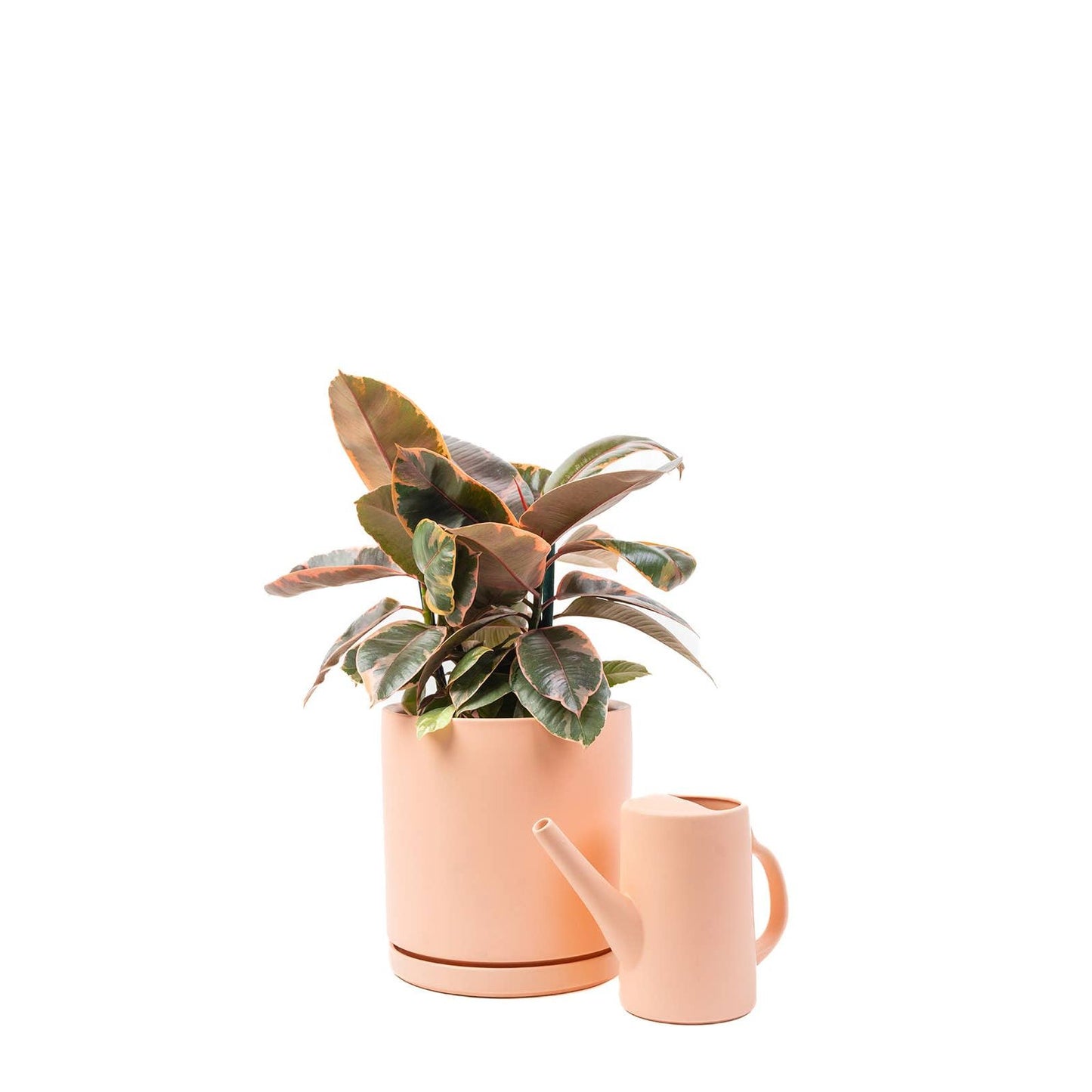 Gemstone Watering Cans