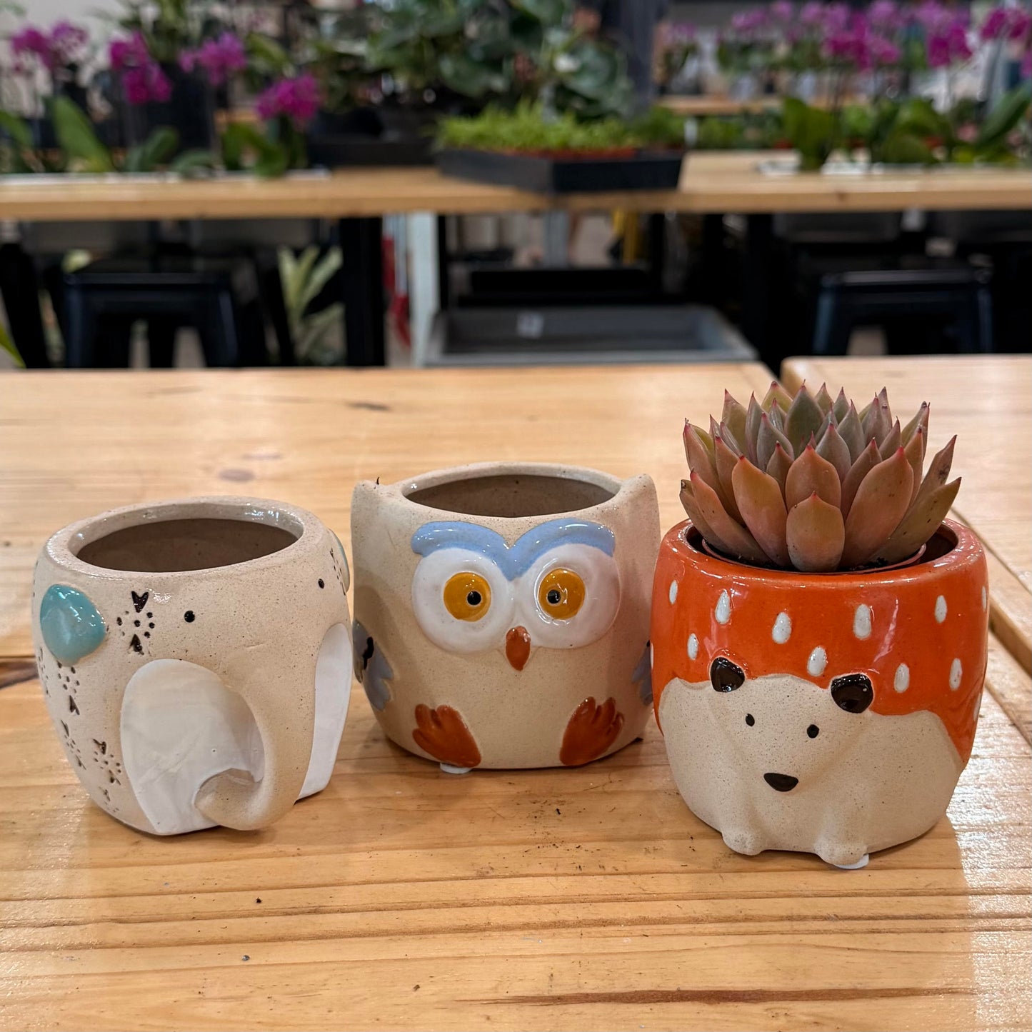 4" Animal Planter
