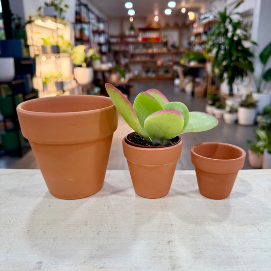 Terracotta Planter Pots