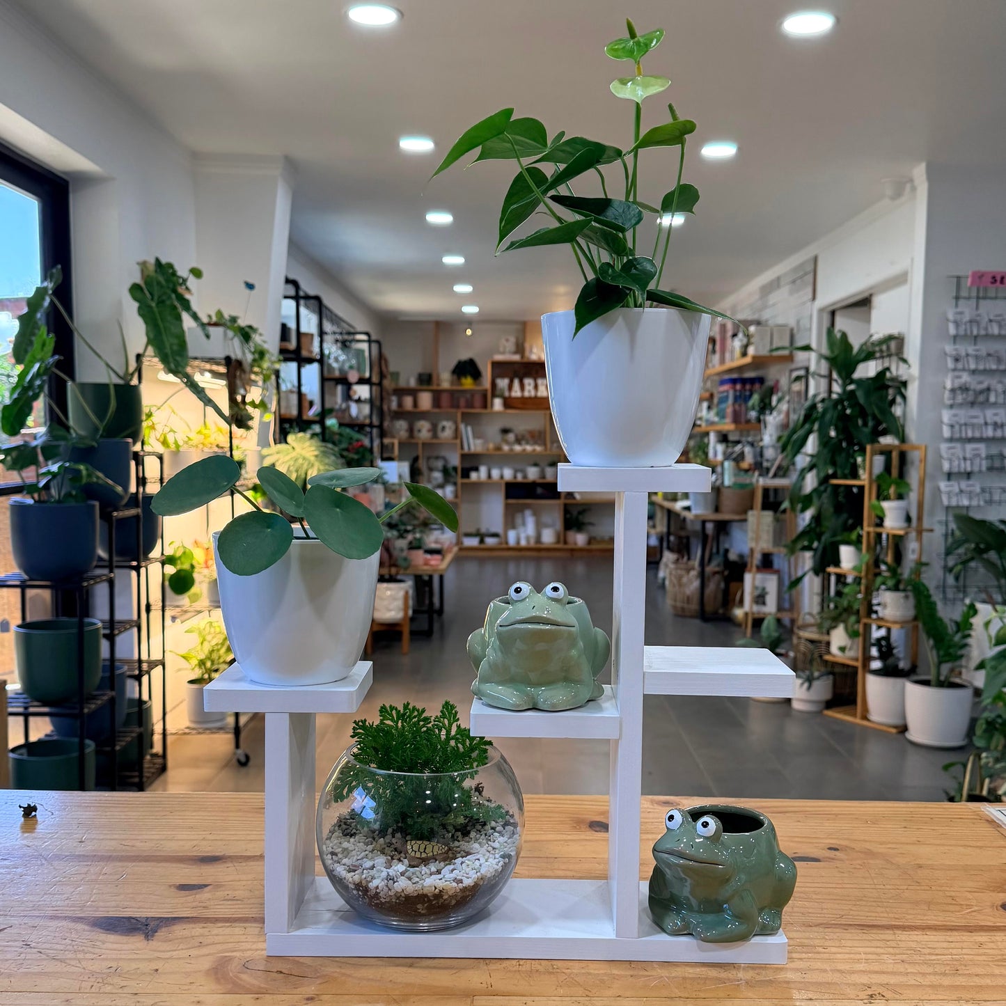 Plant Stands