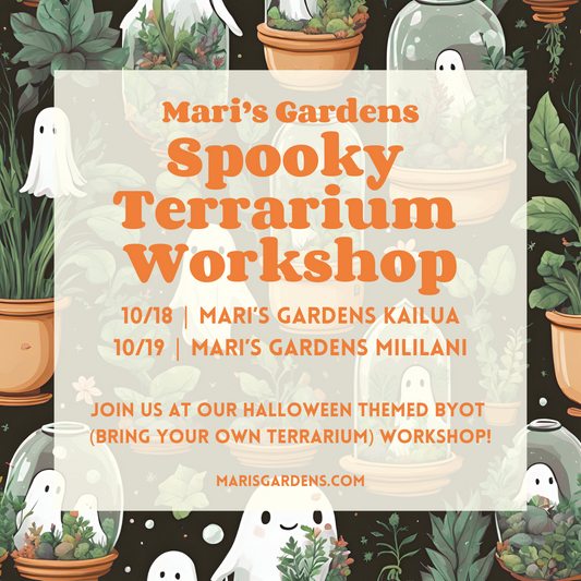 10/18 & 10/19 Spooky Terrarium Workshop