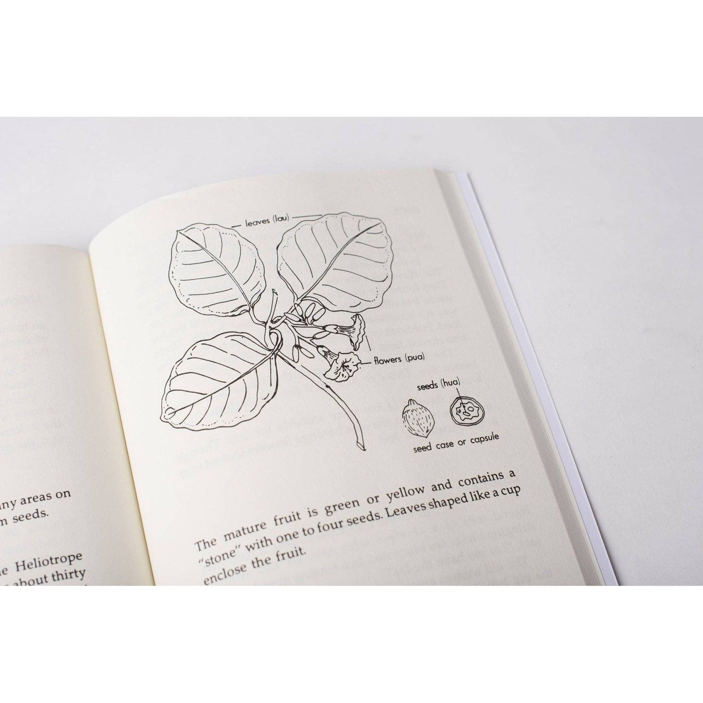 Plants of Old Hawaii