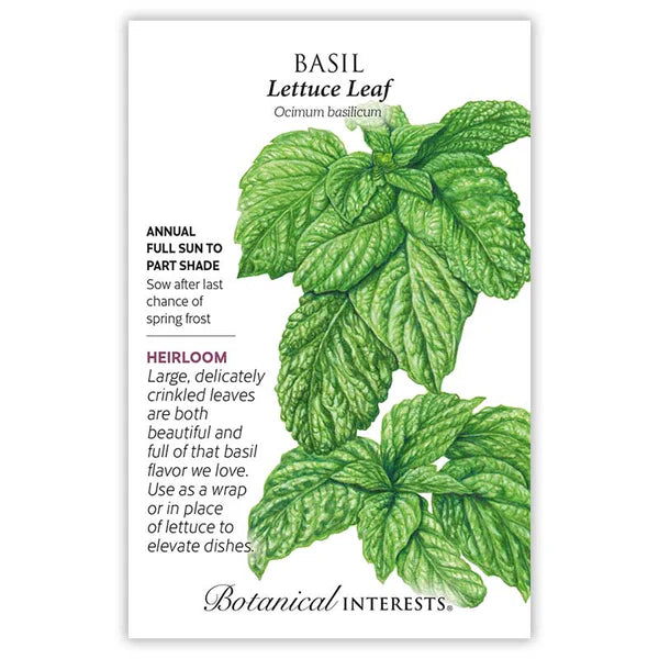 Basil seeds, "Lettuce Leaf"