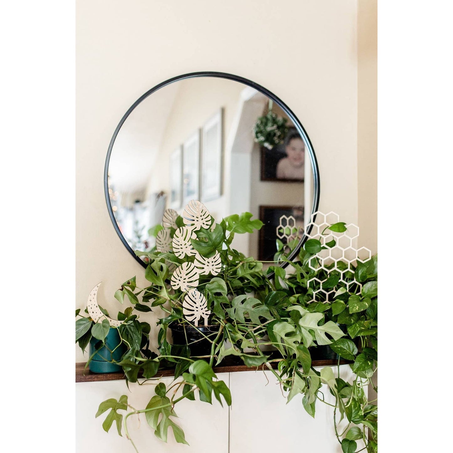 Moon and Stars Plant Trellis