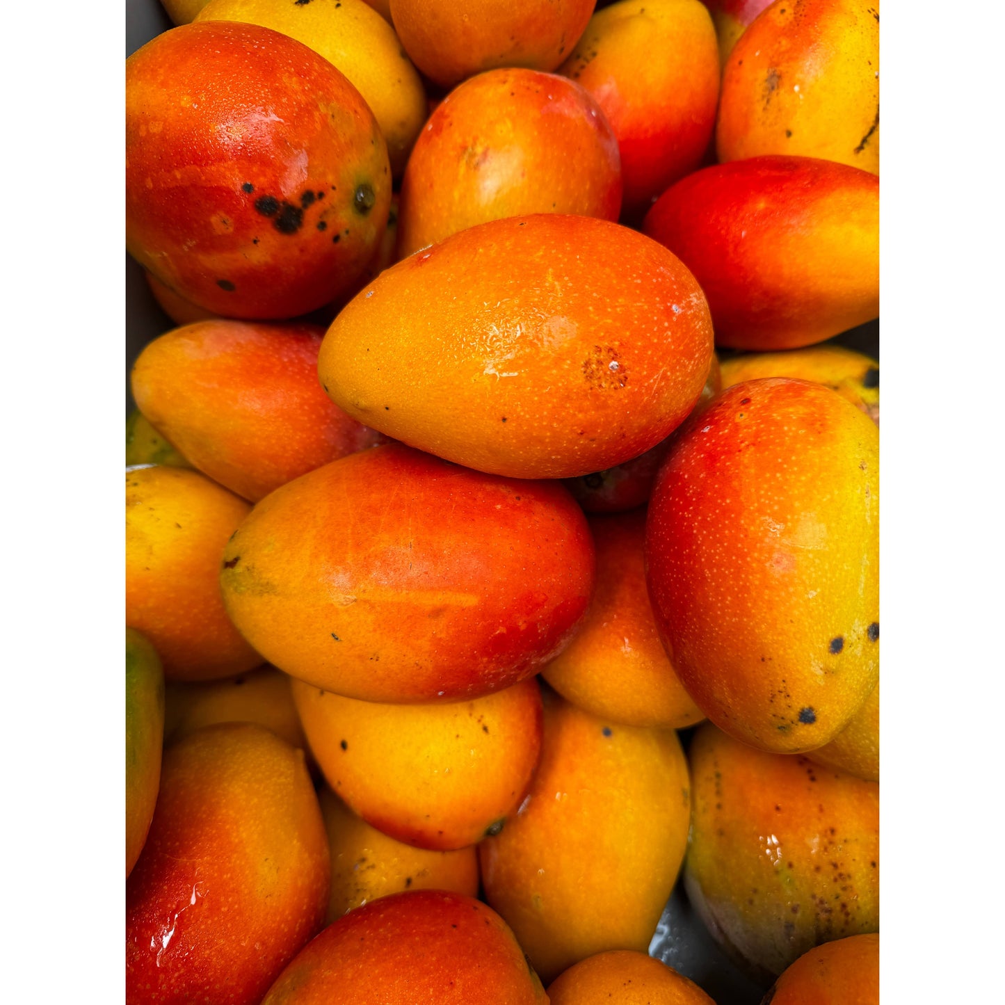 Aloha Bites Mango Jam