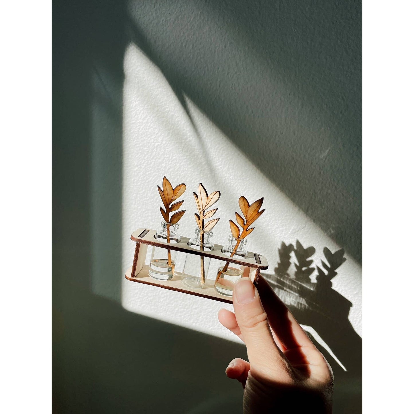 Tiny Plant Propagation Leaf Diffusers: No Essential Oil / Blossom Festival