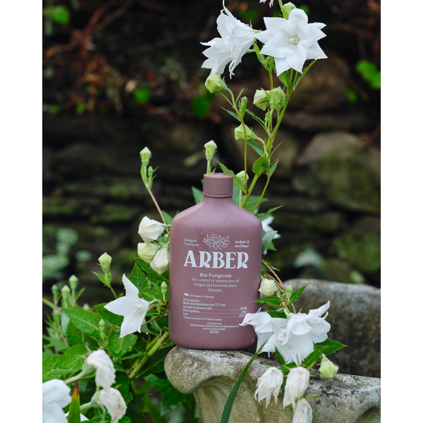 Organic Arber Bio Fungicide 8oz