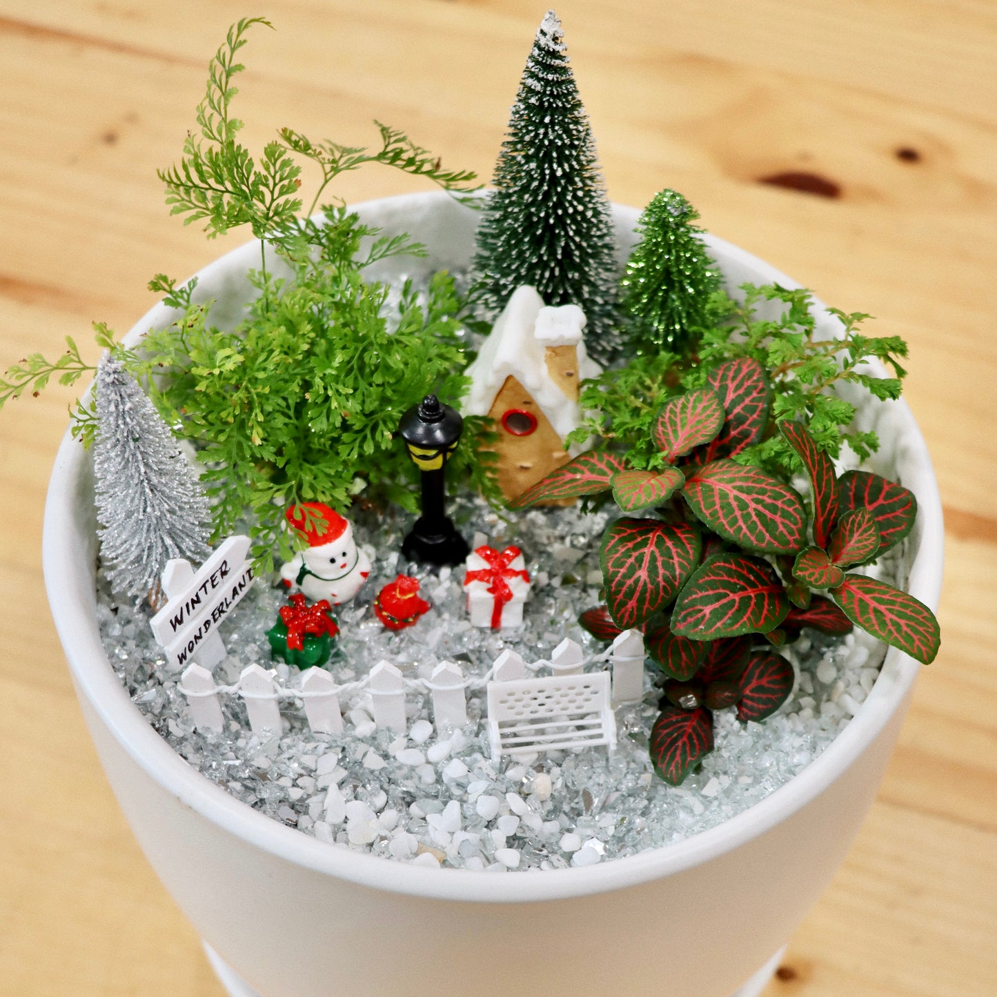 Winter Wonderland Fairy Garden Workshop