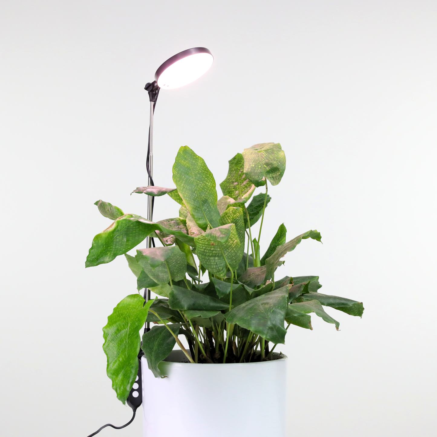 28" Adjustable LED Plant Light Grow Clip Lamp for Houseplant