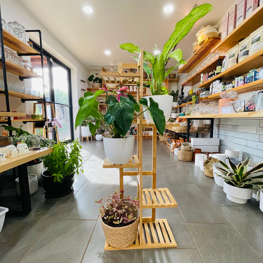 6 Tiered Bamboo Plant Stand