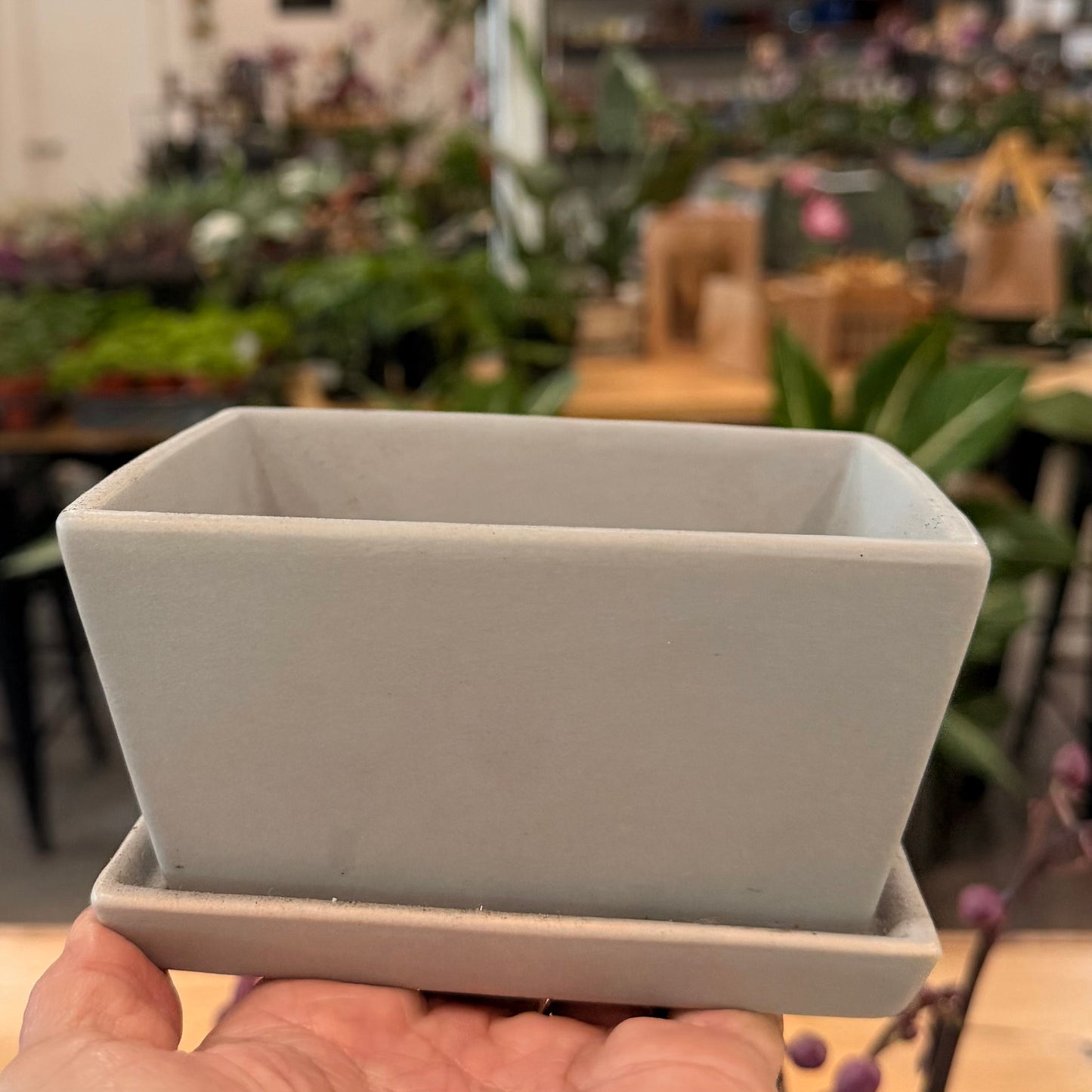 Bonsai Planter Pots