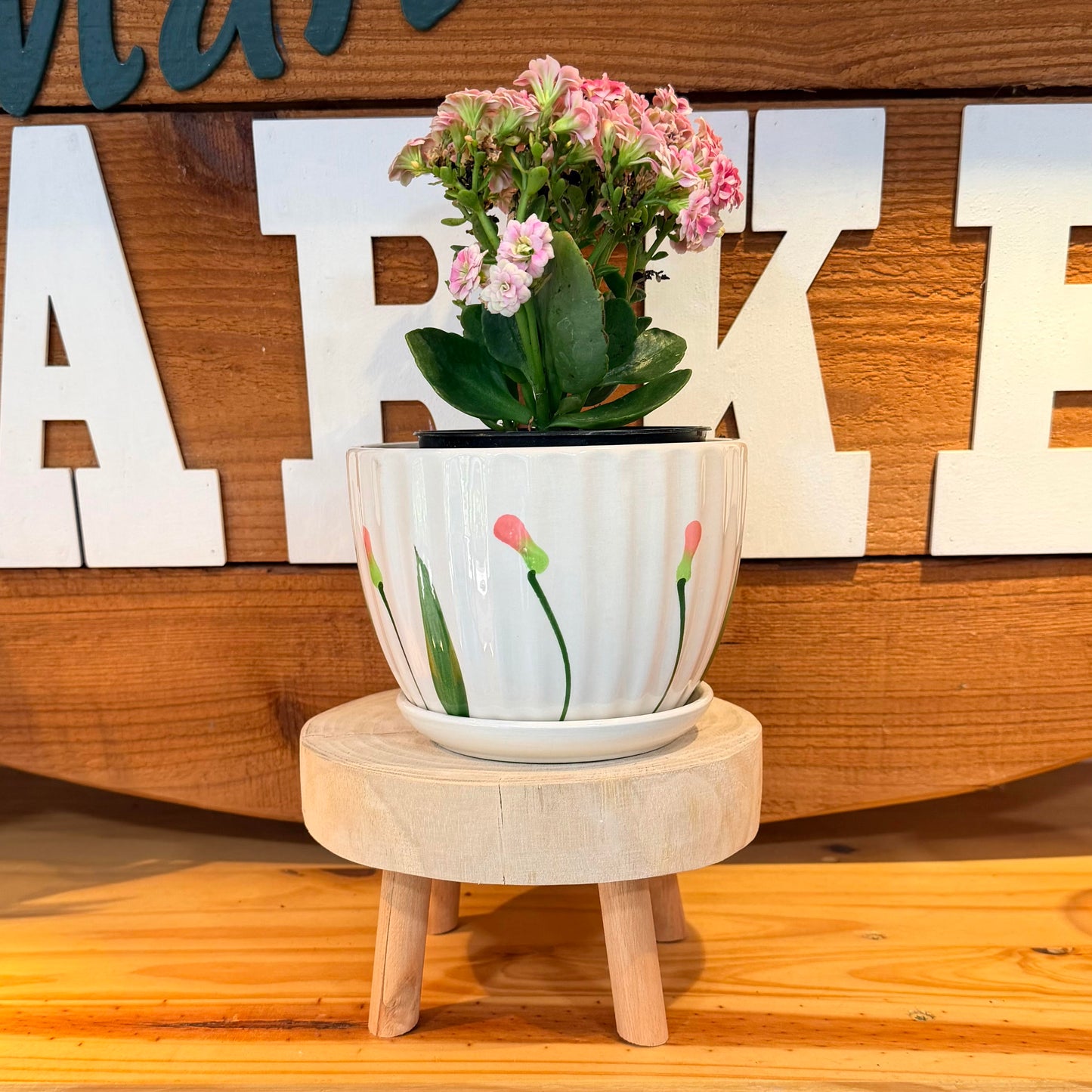 Plant Stands