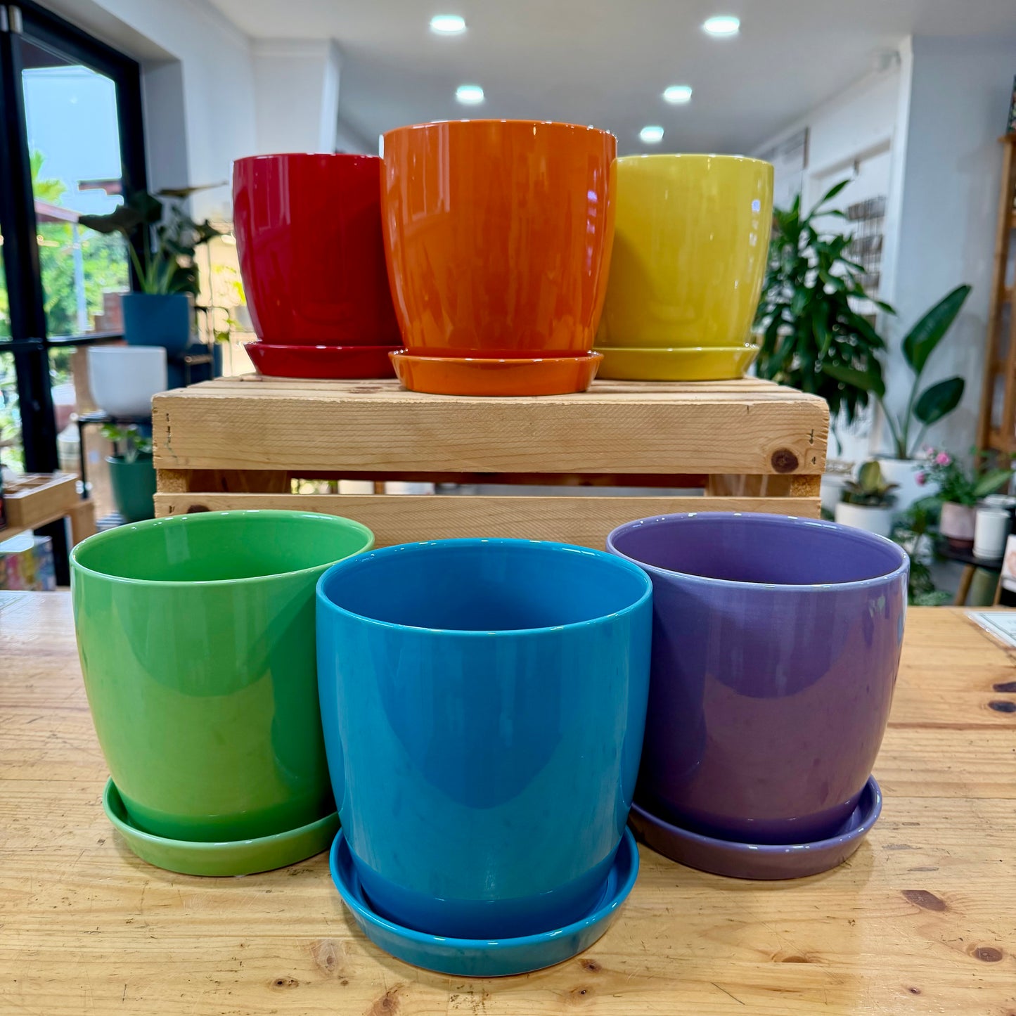Torres Planter