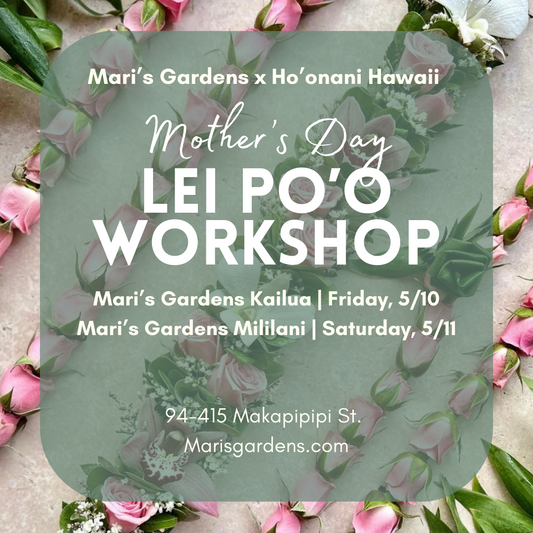 5/10 & 5/11 Mother’s Day Lei Po’o Workshop