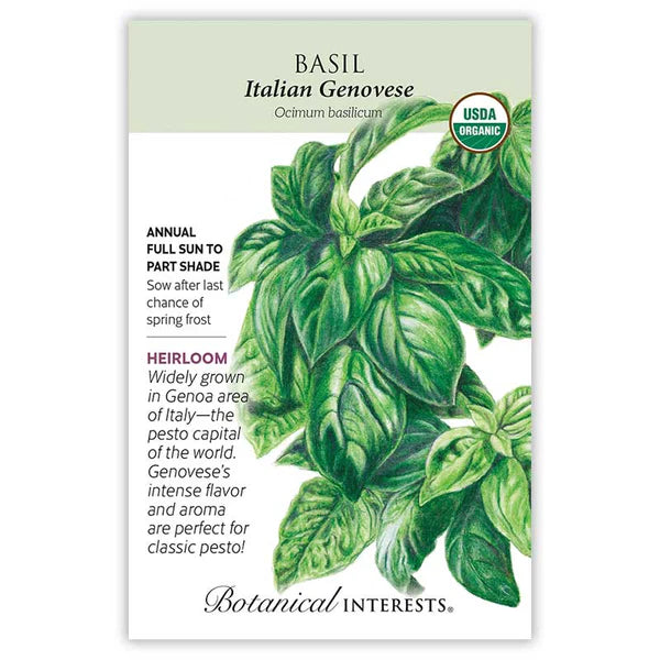Basil seeds, "Italian Genovese"