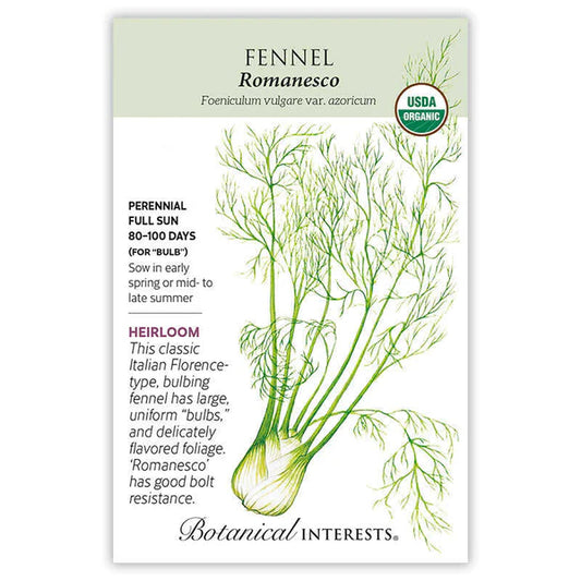 Fennel seeds, "Romanesco"