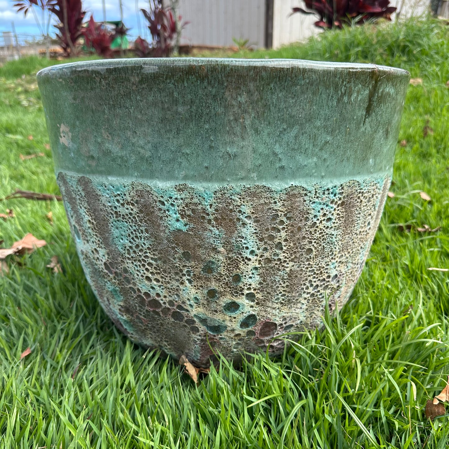 Green Coral Ceramic Planter