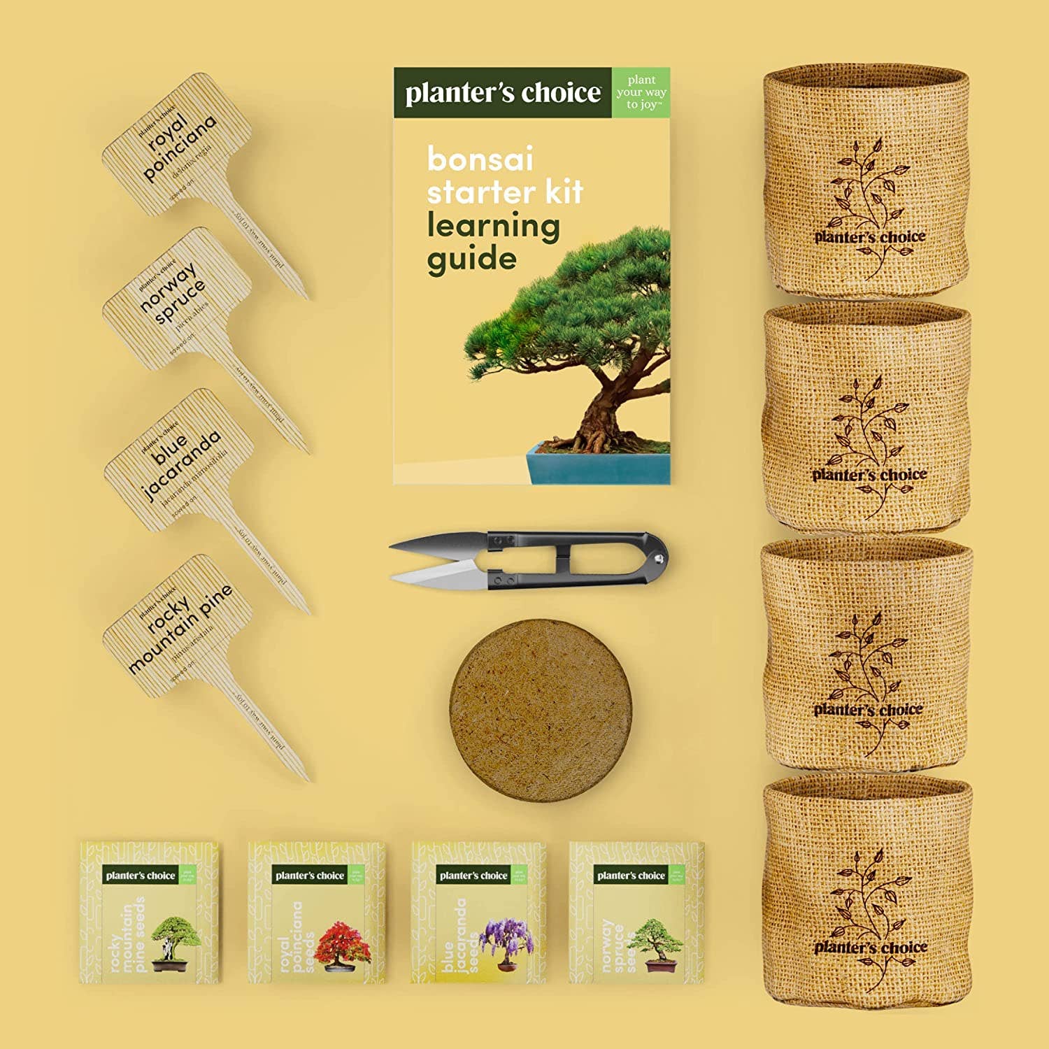 bonsai tree kit barnes and noble Bonsai