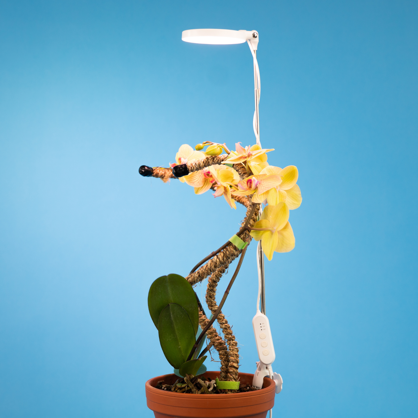 28" Adjustable LED Plant Light Grow Clip Lamp for Houseplant