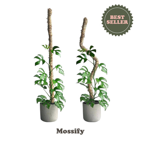 Bendable Moss Pole™ Best Seller Flexible Plant Support