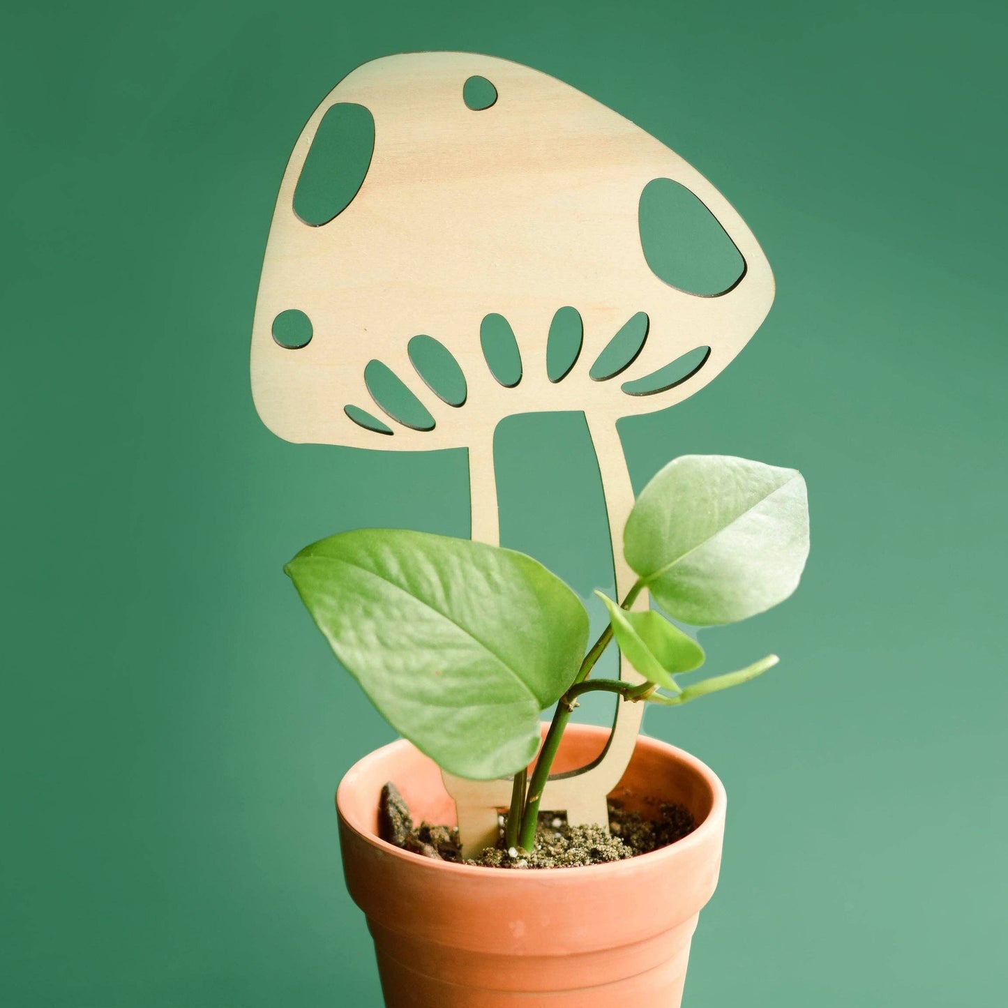 Mushroom Plant Trellis